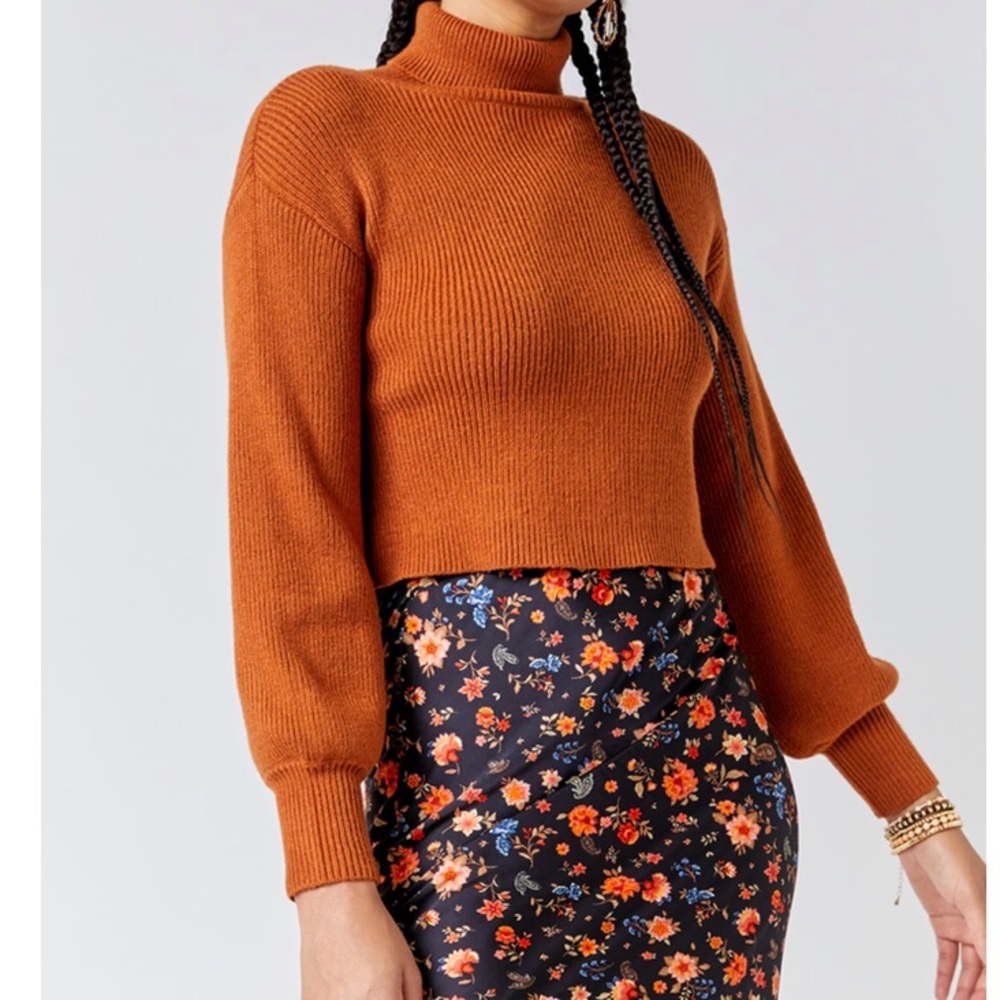 Francesca’s Larissa Camel Turtleneck Crop Sweater